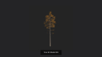 Tree 3D Model
