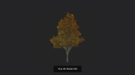 Tree 3D Model