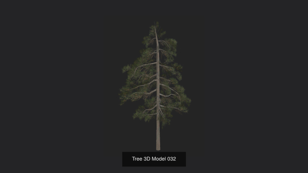 Tree 3D Model