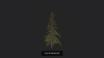 Tree 3D Model