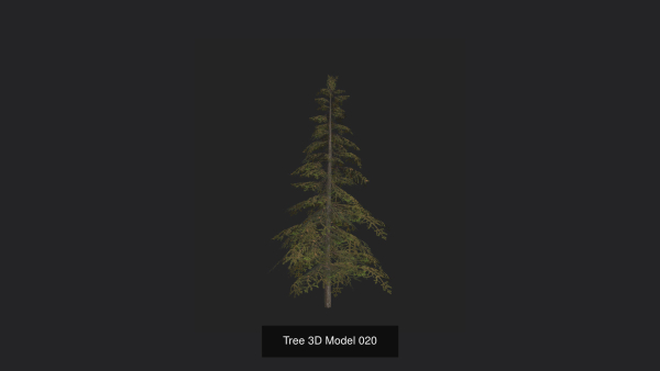 Tree 3D Model