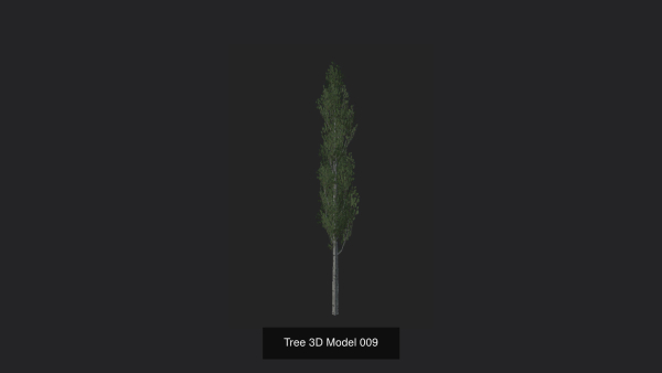 Tree 3D Model
