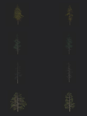 tree-3d-model-3d-model-d12694d348