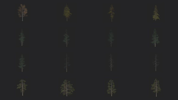 Tree 3D Model
