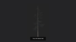 Tree 3D Model