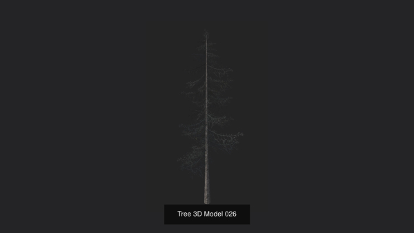 Tree 3D Model