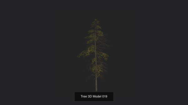 Tree 3D Model