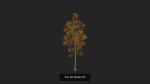 Tree 3D Model