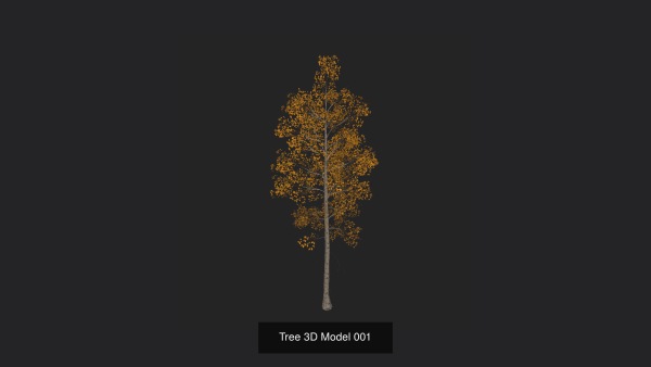 Tree 3D Model