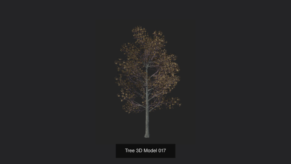 Tree 3D Model