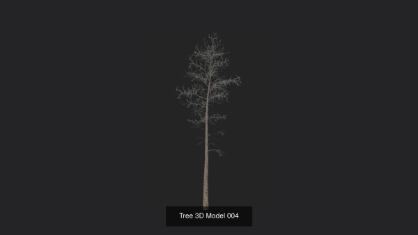 Tree 3D Model