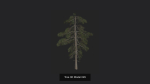 Tree 3D Model