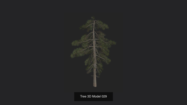 Tree 3D Model