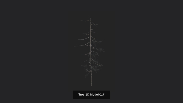Tree 3D Model