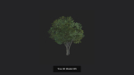 Tree 3D Model