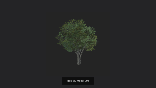 Tree 3D Model