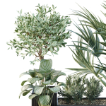 Tree and bush garden box outdoor VOL 18