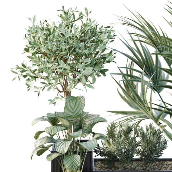 Tree and bush garden box outdoor VOL 18