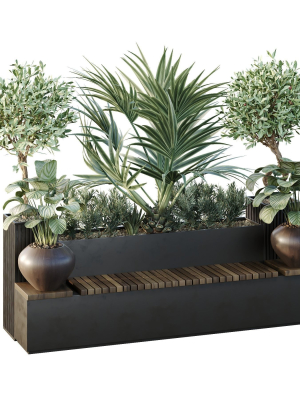 Tree and bush garden box outdoor VOL 18