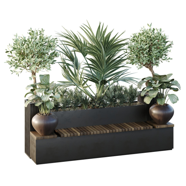 Tree and bush garden box outdoor VOL 18