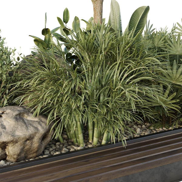 Tree and bush garden box outdoor VOL 37