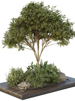tree-and-bush-garden-box-outdoor-vol-37-3d-model-31458353b6