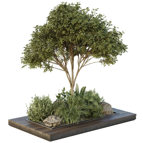 Tree and bush garden box outdoor VOL 37