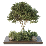 Tree and bush garden box outdoor VOL 37