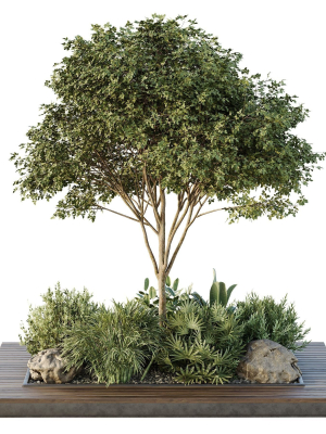 Tree and bush garden box outdoor VOL 37