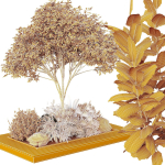 Tree and bush garden box outdoor VOL 37