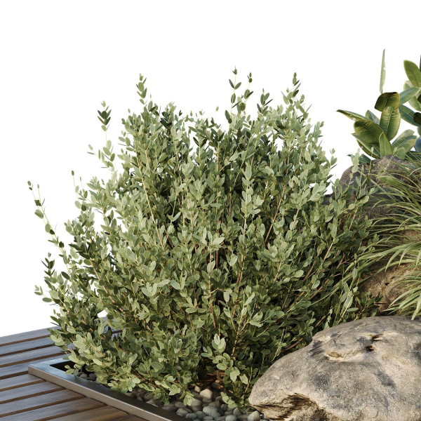 Tree and bush garden box outdoor VOL 37