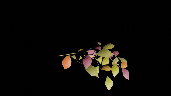 Tree and Twig