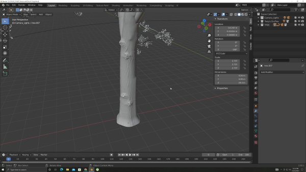 Tree and Twig