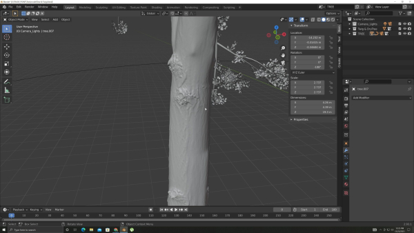 Tree and Twig