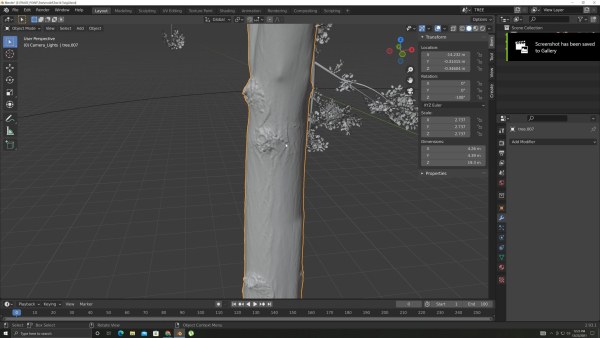 Tree and Twig