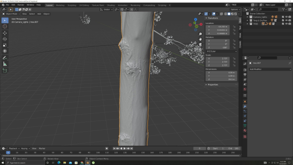 Tree and Twig