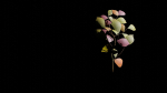 Tree and Twig