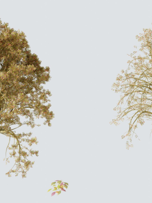 Tree and Twig