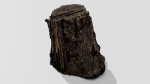 Tree Bark