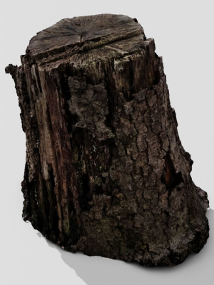 tree-bark-3d-model-obj-fbx-blend