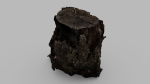 Tree Bark