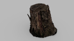 Tree Bark