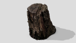 Tree Bark