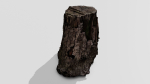 Tree Bark