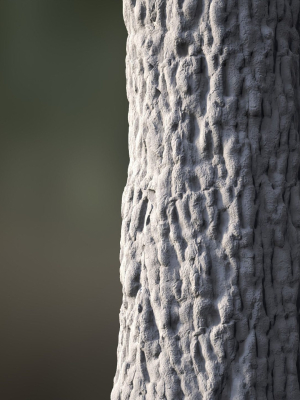 tree-bark-seamless-09-3d-model-low-poly-obj-fbx-stl-blend-gltf