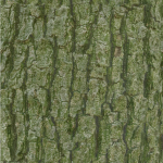 Tree Bark Seamless 09