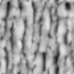 Tree Bark Seamless 09
