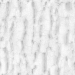 Tree Bark Seamless 09