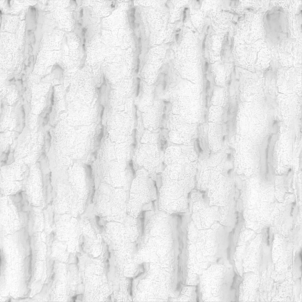 Tree Bark Seamless 09