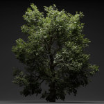 Tree for landscape vol 229-Blender